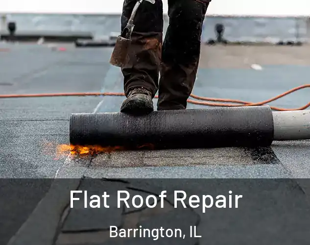  Flat Roof Repair Barrington, IL