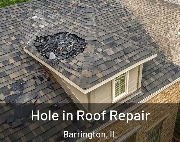  Hole in Roof Repair Barrington, IL