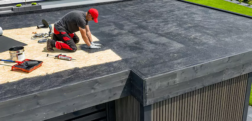Professional TPO Roofing Services in Barrington, IL