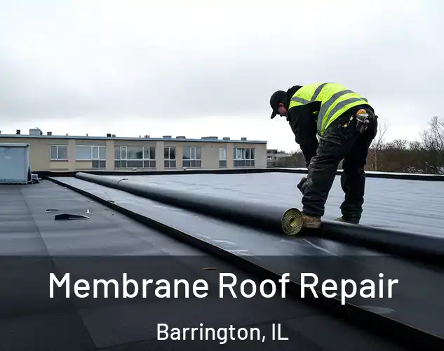  Membrane Roof Repair Barrington, IL