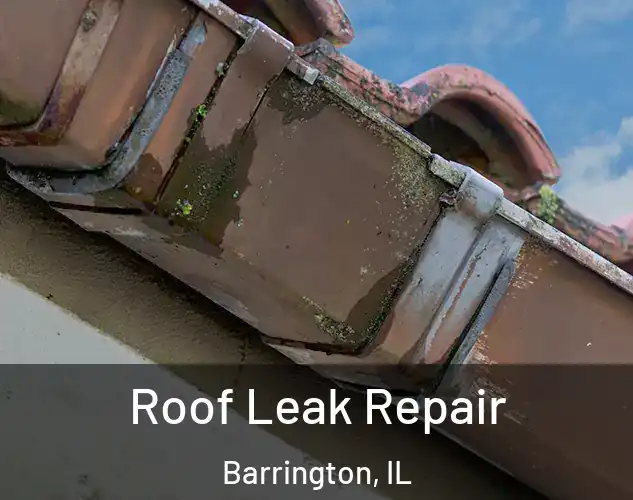  Roof Leak Repair Barrington, IL